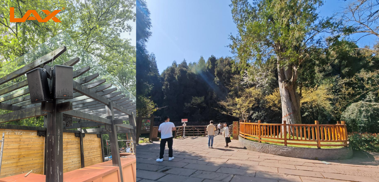微信图片_20240805111427_副本.png